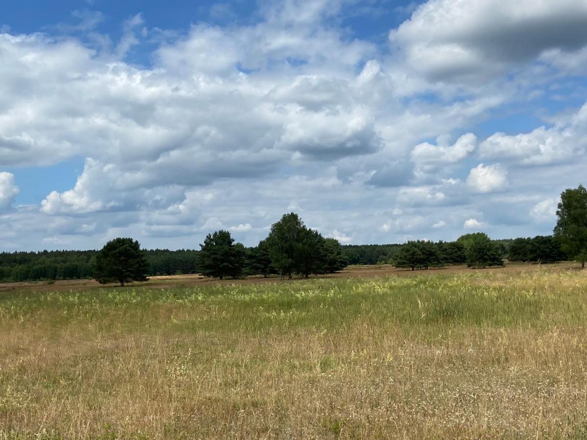 Waldwerk Wurlgrund Lychen Exterior foto