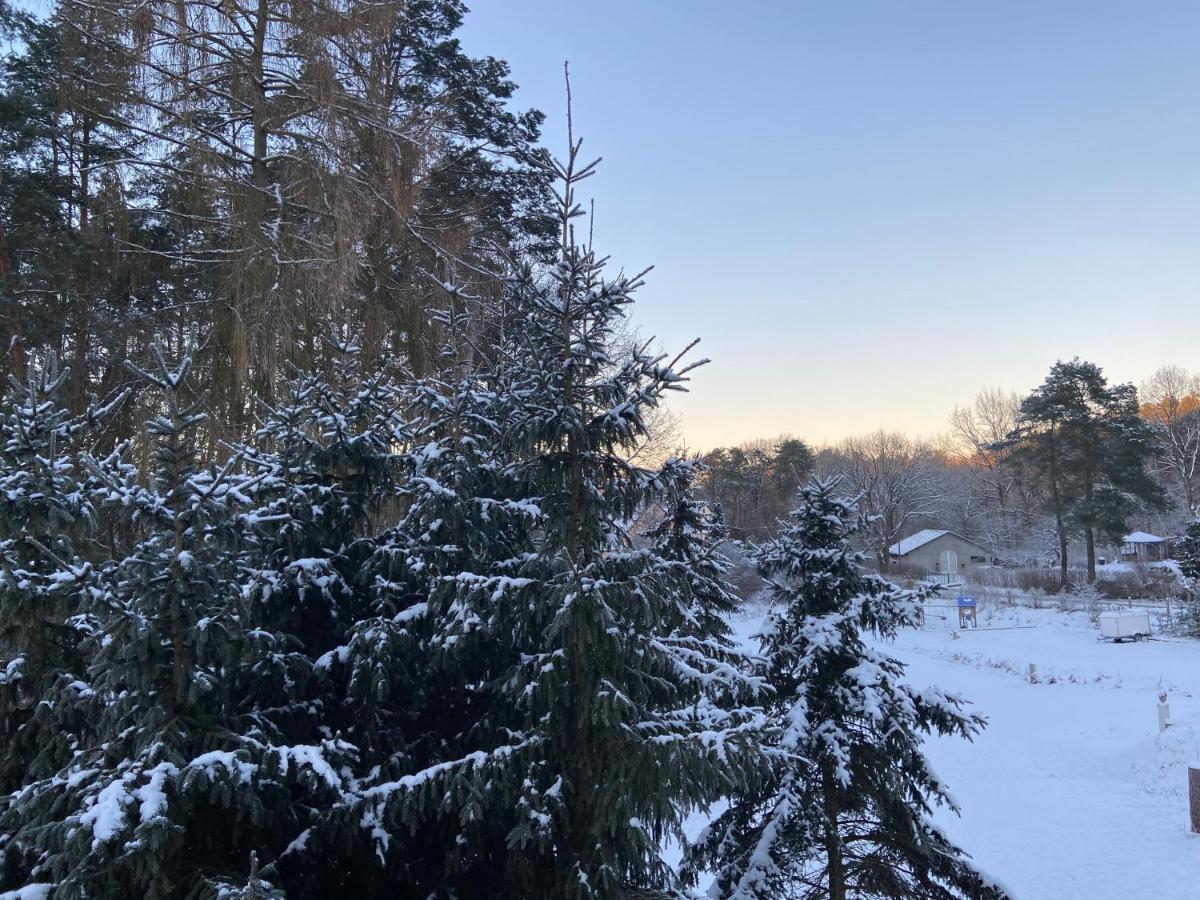 Waldwerk Wurlgrund Lychen Exterior foto