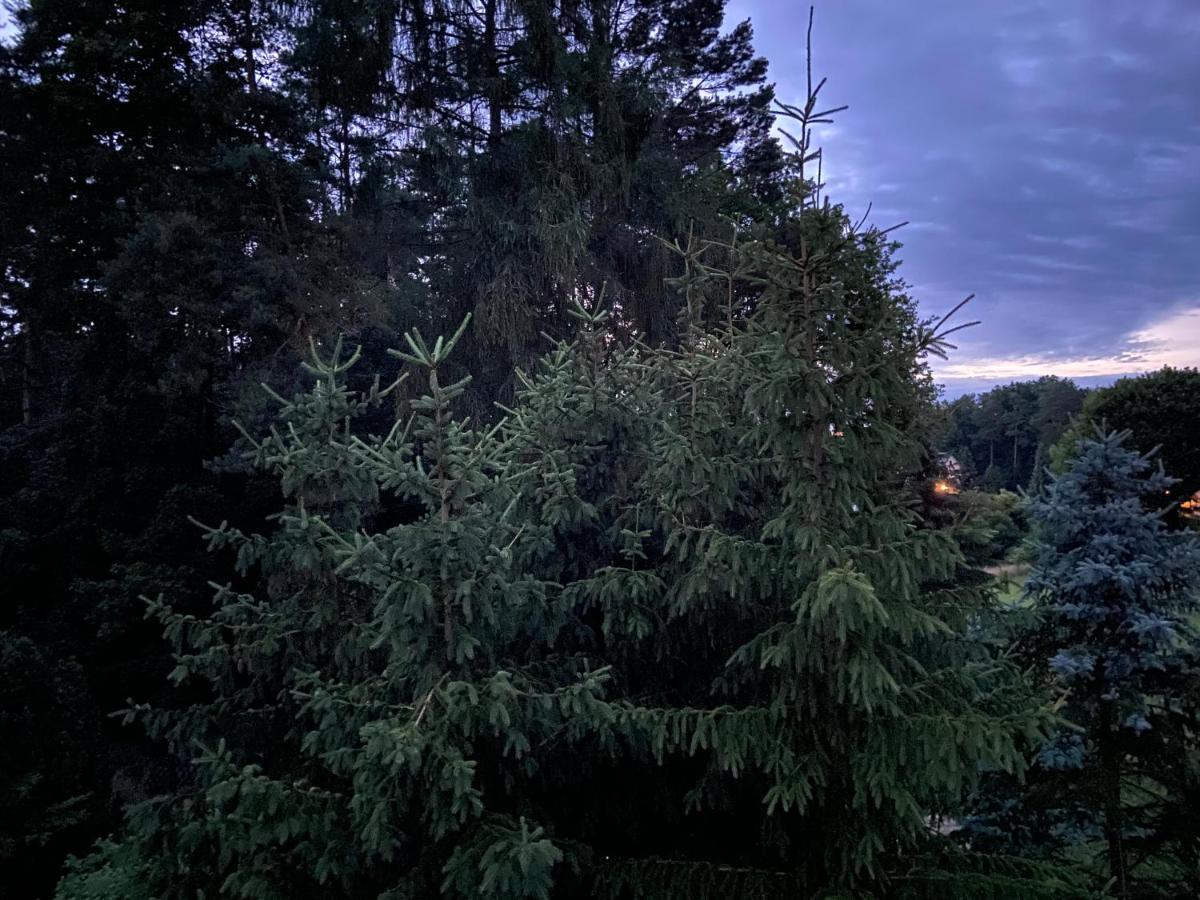 Waldwerk Wurlgrund Lychen Exterior foto